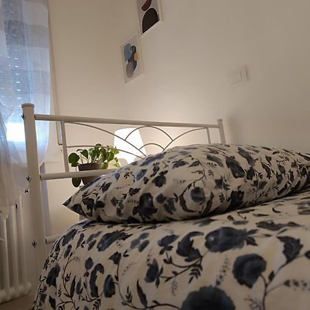Angela Guest House In Centro Storico 코넬리아노 외부 사진