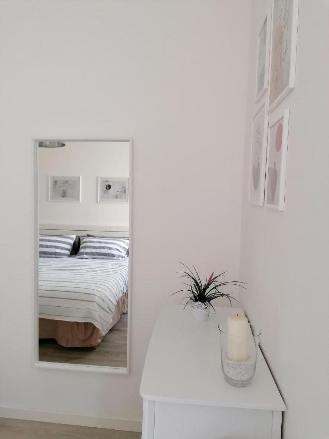 Angela Guest House In Centro Storico 코넬리아노 외부 사진